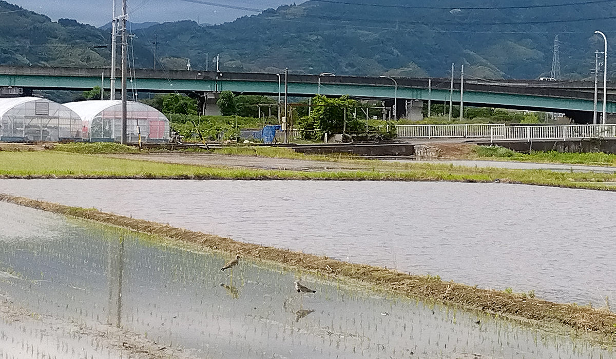 城北地域包括支援センター